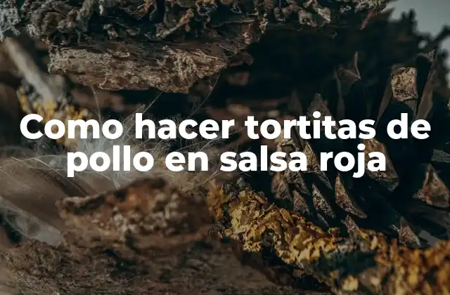 Tortitas de pollo en salsa roja, una deliciosa opción para cualquier ocasión