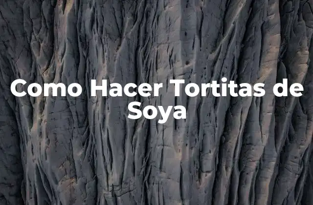 Como Hacer Tortitas de Soya