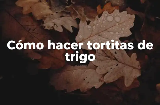 Cómo Hacer Tortitas de Trigo