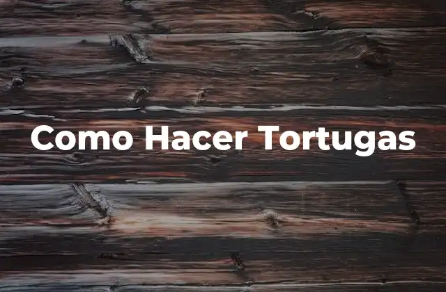 Como Hacer Tortugas 2 ¿Qué son las Tortugas y Cómo se Cuidan?