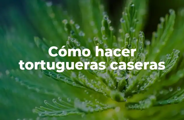 Cómo Hacer Tortugueras Caseras