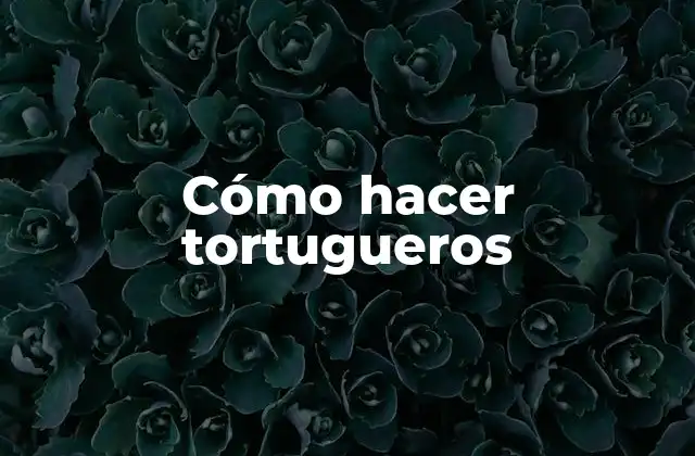 Cómo Hacer Tortugueros
