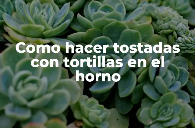 Como Hacer Tostadas con Tortillas en el Horno