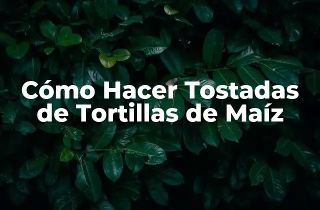 Cómo Hacer Tostadas de Tortillas de Maíz