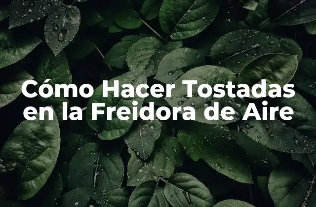 Cómo Hacer Tostadas en la Freidora de Aire 2 ¿Qué es una Freidora de Aire y Cómo Funciona?
