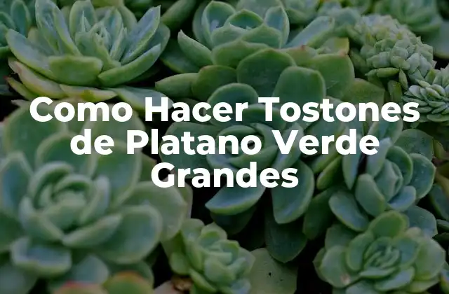 Como Hacer Tostones de Platano Verde Grandes