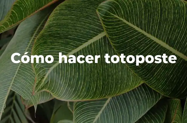 Cómo Hacer Totoposte