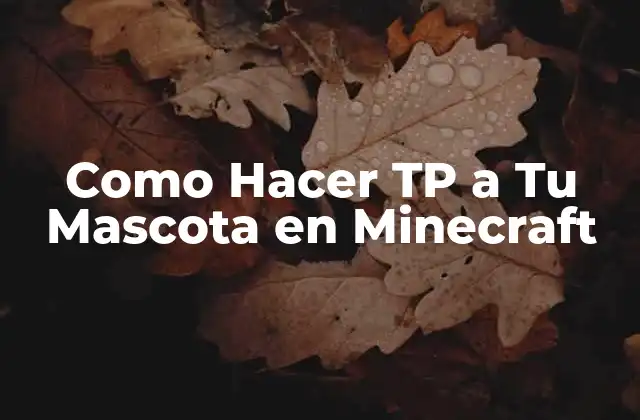 Como Hacer Tp a Tu Mascota en Minecraft
