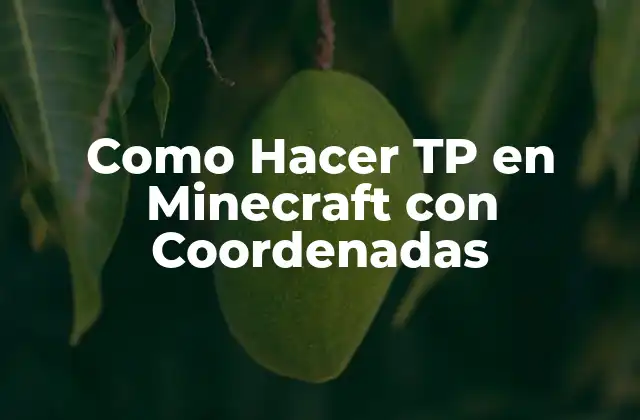 Como Hacer Tp en Minecraft con Coordenadas 2 ¿Qué es Teletransporte con Coordenadas en Minecraft?