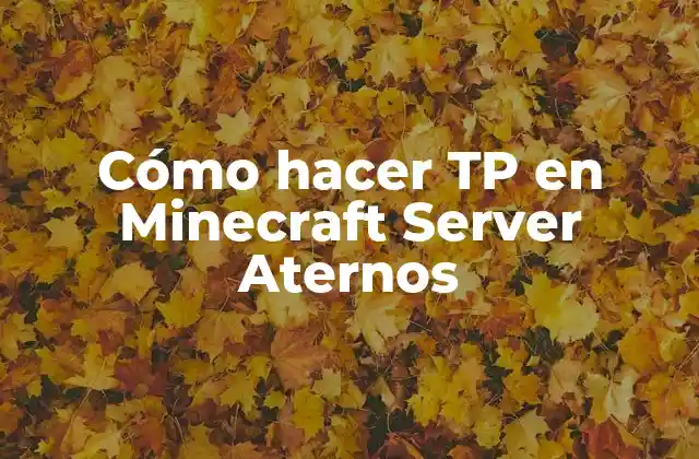 Cómo hacer TP en Minecraft Server Aternos