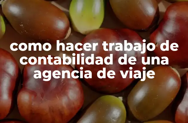 Como Hacer Trabajo de Contabilidad de una Agencia de Viaje