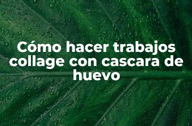 Cómo Hacer Trabajos Collage con Cascara de Huevo