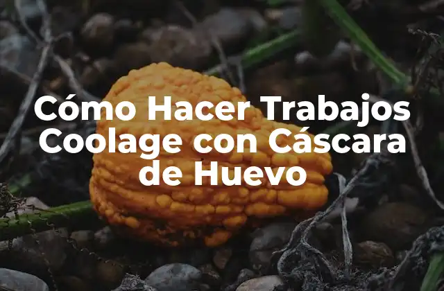 Cómo Hacer Trabajos Coolage con Cáscara de Huevo 2 Cómo Hacer Trabajos Coolage con Cáscara de Huevo