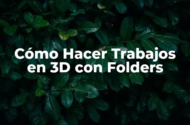 Cómo Hacer Trabajos en 3d con Folders 2 Cómo Hacer Trabajos en 3D con Folders