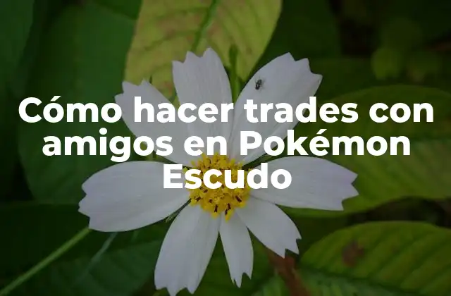 Cómo Hacer Trades con Amigos en Pokémon Escudo