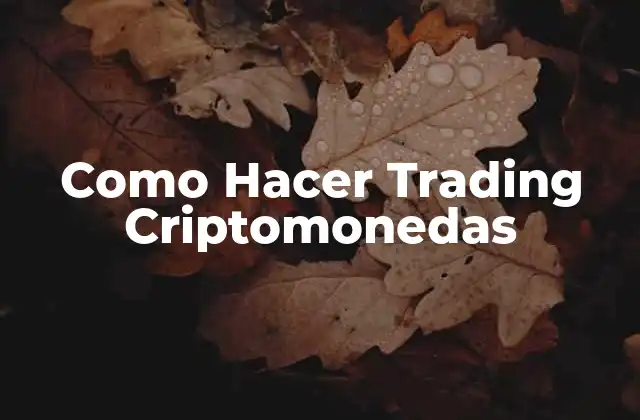Como Hacer Trading Criptomonedas