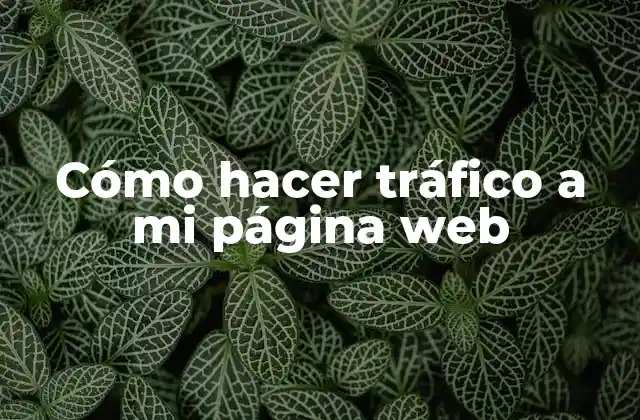 Cómo hacer tráfico a mi página web
