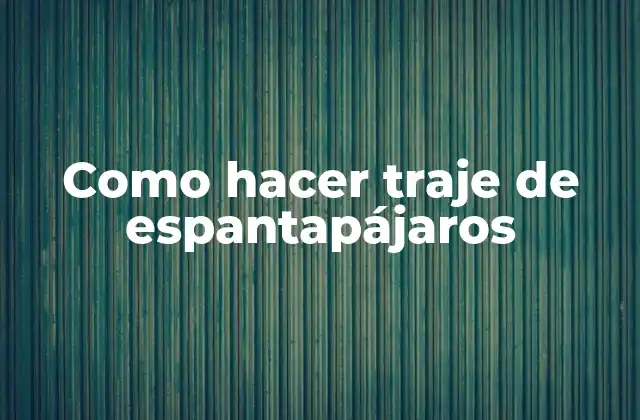 Como Hacer Traje de Espantapájaros 2 ¿Qué es un traje de espantapájaros y para qué sirve?