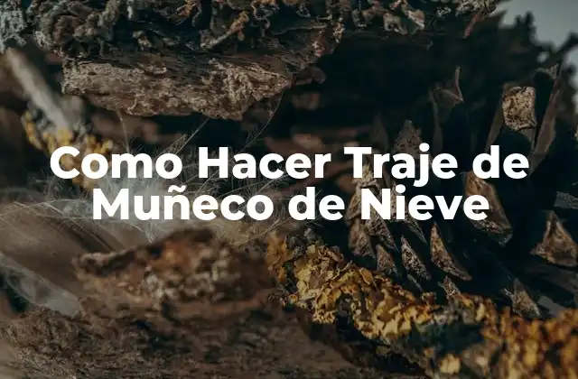 Como Hacer Traje de Muñeco de Nieve
