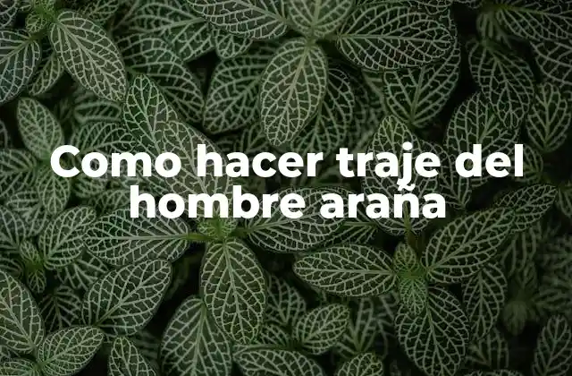 Como Hacer Traje Del Hombre Araña