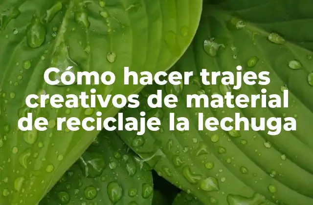 Cómo Hacer Trajes Creativos de Material de Reciclaje la Lechuga