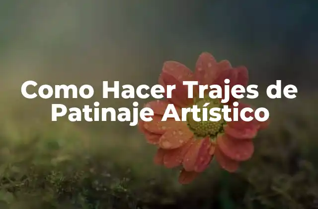 Como Hacer Trajes de Patinaje Artístico