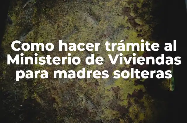 Como Hacer Trámite Al Ministerio de Viviendas para Madres Solteras