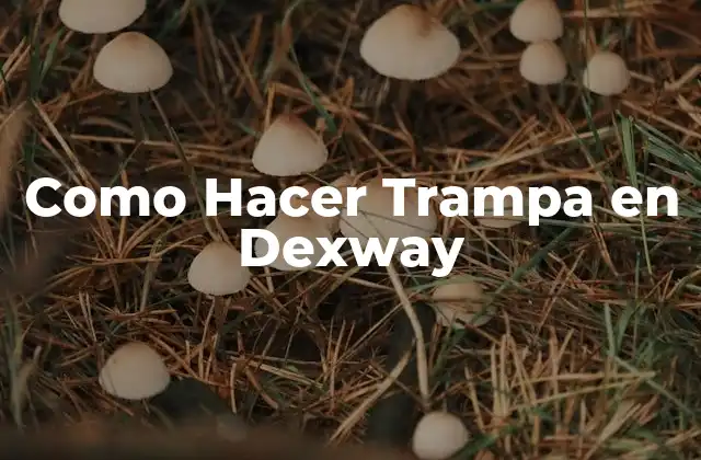 ¿Qué es Hacer Trampa en Dexway?