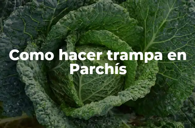 Como Hacer Trampa en Parchís