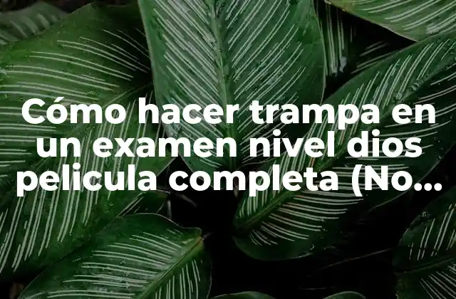 Cómo Hacer Trampa en un Examen Nivel Dios Pelicula Completa (no Recomendado)