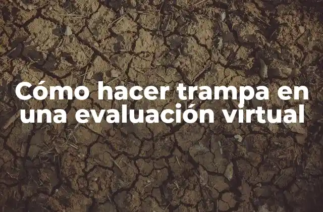 Cómo Hacer Trampa en una Evaluación Virtual