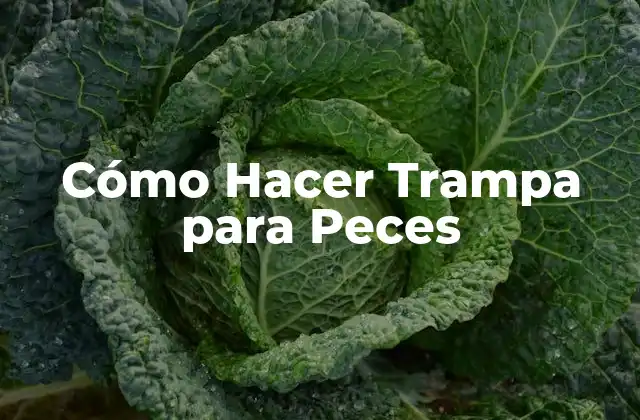 Cómo Hacer Trampa para Peces