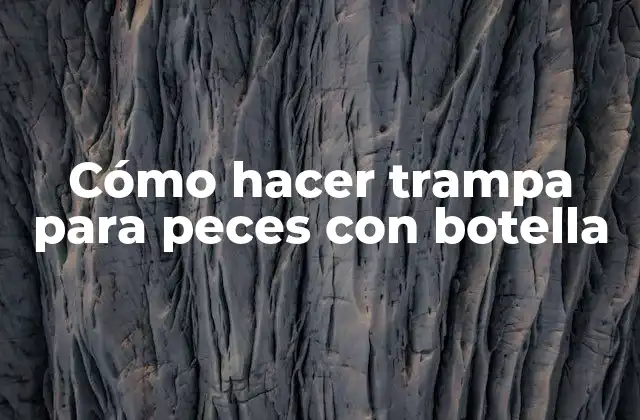 Cómo Hacer Trampa para Peces con Botella
