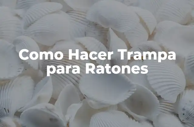 Como Hacer Trampa para Ratones
