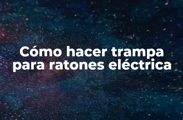 Cómo Hacer Trampa para Ratones Eléctrica