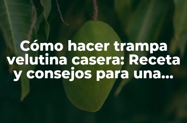 Cómo Hacer Trampa Velutina Casera: Receta y Consejos para una Delicia Gourmet