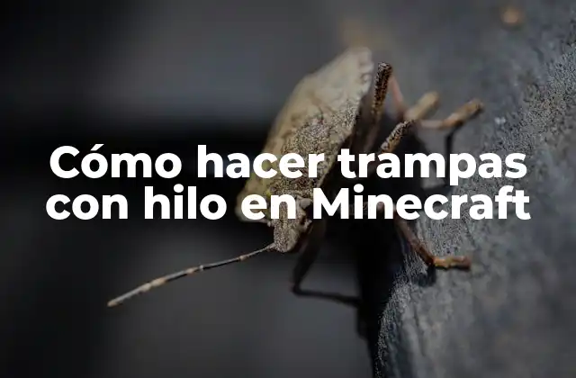 Cómo Hacer Trampas con Hilo en Minecraft