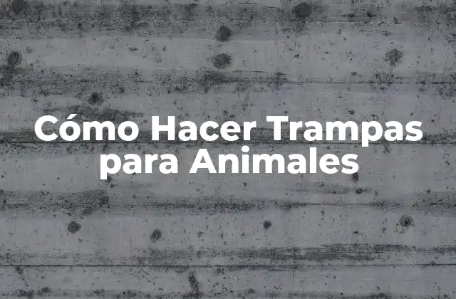 Cómo Hacer Trampas para Animales