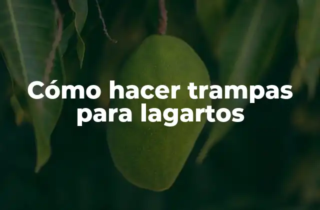 Cómo Hacer Trampas para Lagartos