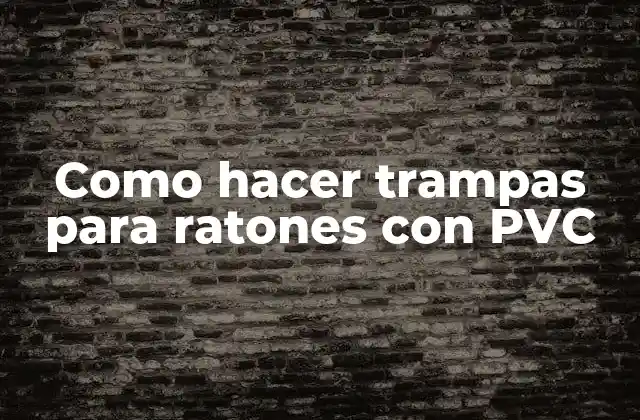 Como Hacer Trampas para Ratones con Pvc