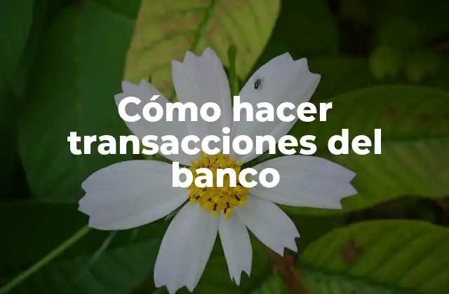 Cómo Hacer Transacciones Del Banco