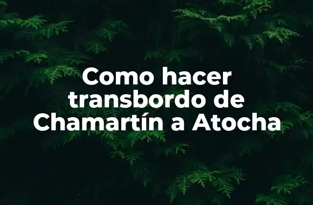 ¿Qué es el transbordo de Chamartín a Atocha?