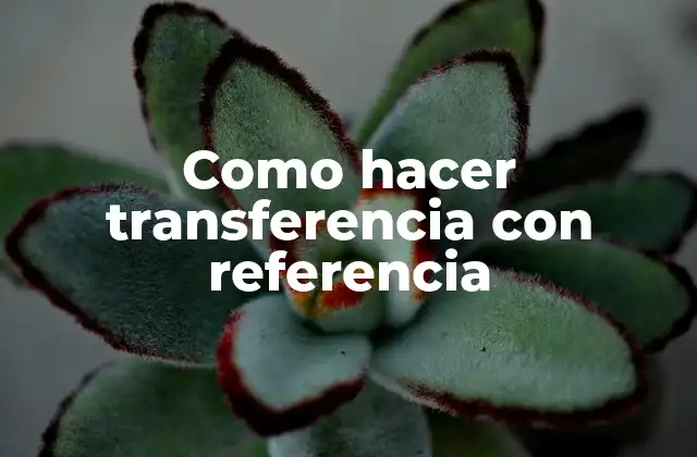 Como Hacer Transferencia con Referencia