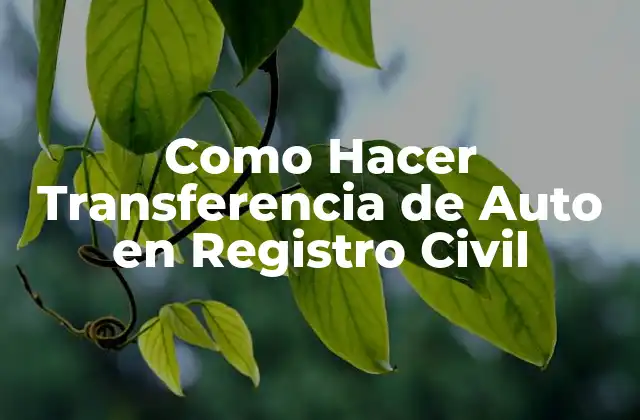 Como Hacer Transferencia de Auto en Registro Civil