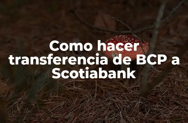 Como Hacer Transferencia de Bcp a Scotiabank