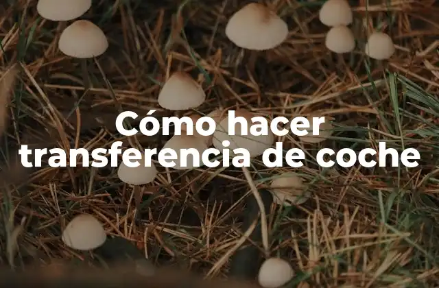 Cómo hacer transferencia de coche