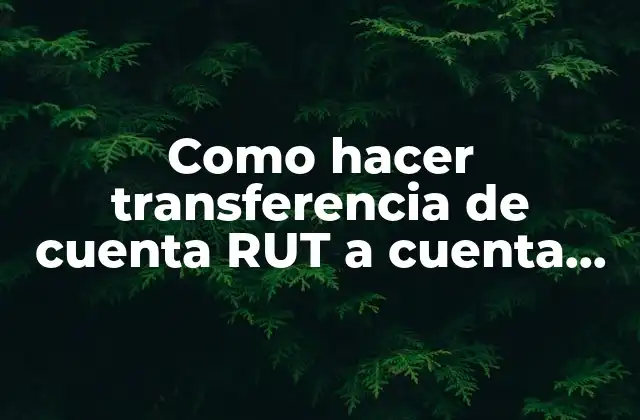 Como Hacer Transferencia de Cuenta Rut a Cuenta Rut