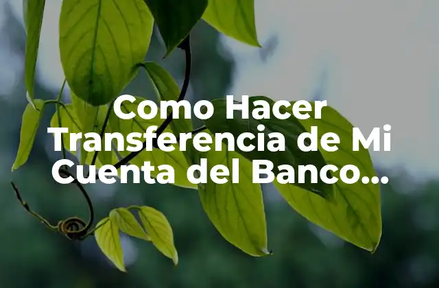 Como Hacer Transferencia de Mi Cuenta Del Banco Union