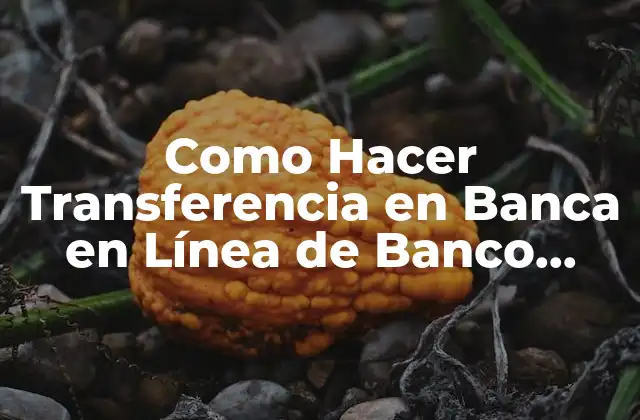 Como Hacer Transferencia en Banca en Línea de Banco General