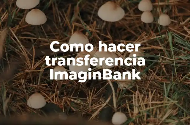 Como Hacer Transferencia Imaginbank